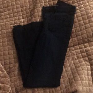 Hudson high waisted flare jeans (Taylor)